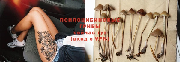 spice Нязепетровск