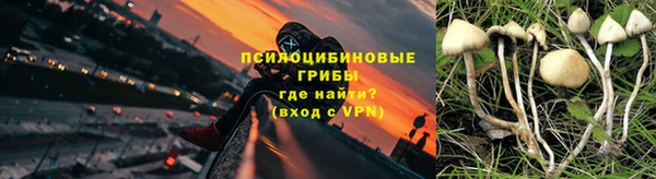 ПСИЛОЦИБИНОВЫЕ ГРИБЫ Няндома
