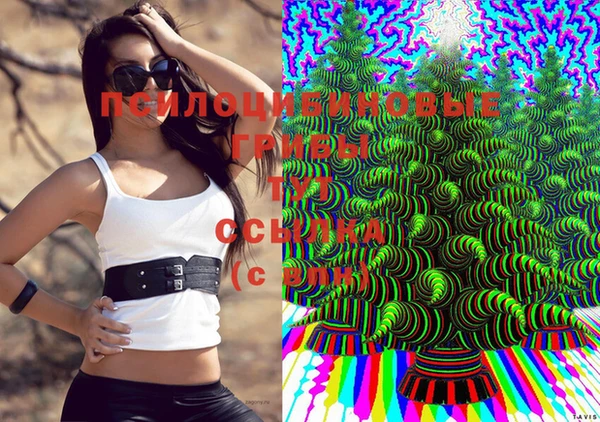 ПСИЛОЦИБИНОВЫЕ ГРИБЫ Няндома