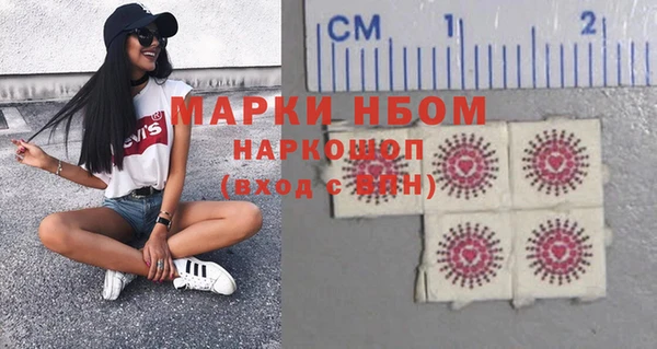 ПСИЛОЦИБИНОВЫЕ ГРИБЫ Няндома