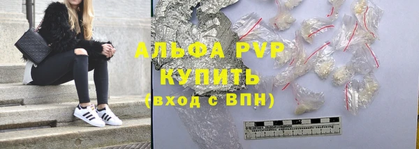 ПСИЛОЦИБИНОВЫЕ ГРИБЫ Няндома