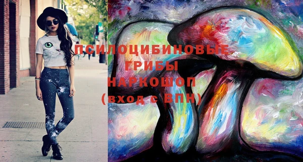 ПСИЛОЦИБИНОВЫЕ ГРИБЫ Няндома