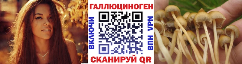 mega ТОР  Ульяновск  Псилоцибиновые грибы ЛСД  купить наркотики цена 