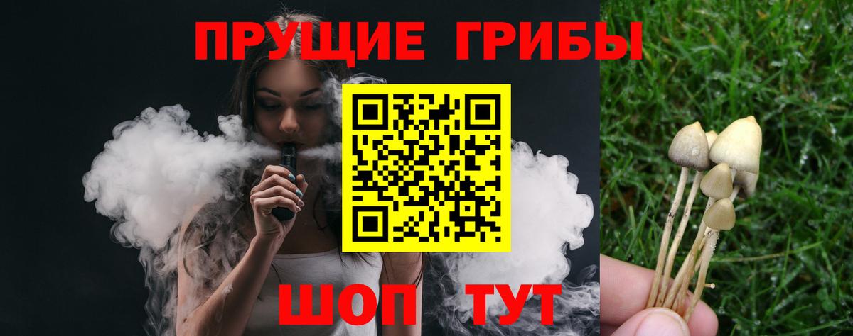 Ульяновск  Галлюциногенные грибы ЛСД  купить наркоту  Вход с VPN 