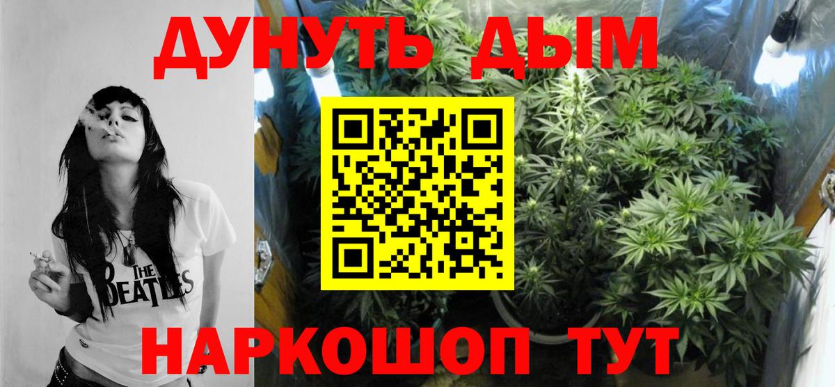 Шишки марихуана сатива Ульяновск
